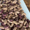 Speckled Bayo Heirloom Beans