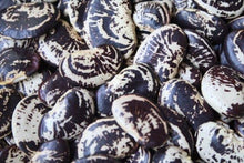 Load image into Gallery viewer, Christmas Lima Beans- Grown in the USA!
